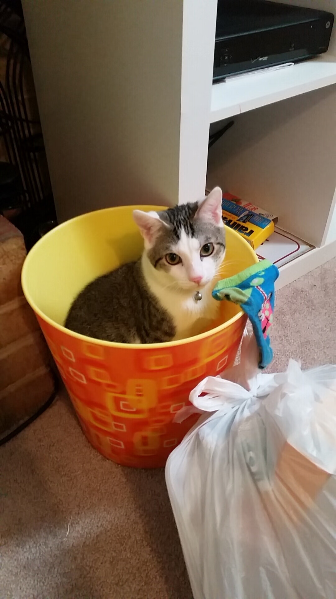 篮球运动员训练负荷智能监测技术研发与应用,基础阶段篮球训练负荷安排