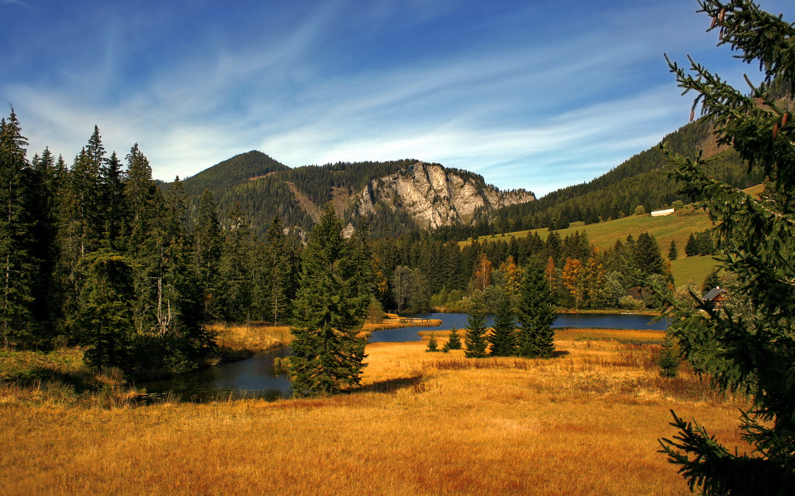 西甲球队数据可视化在比赛战术调整中的应用,西甲过人数据