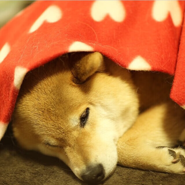 西甲球队数据可视化在比赛战术调整中的应用,西甲过人数据