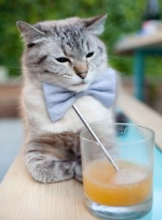 运动员技能竞赛组织方案，运动技能比赛