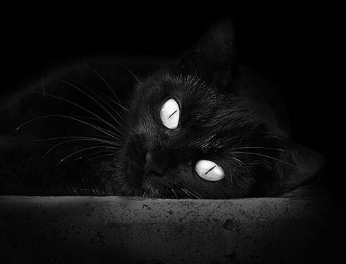 华体会登录-“腰旗橄榄球：东部新区赛场带来全新观赛体验”