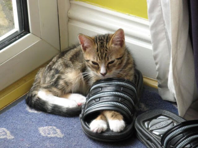 中超联赛中国足球爆冷 战术执行遭质疑,中超比赛争议