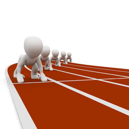 华体会网址-全运会筹备工作进入冲刺阶段，全运会备战方案