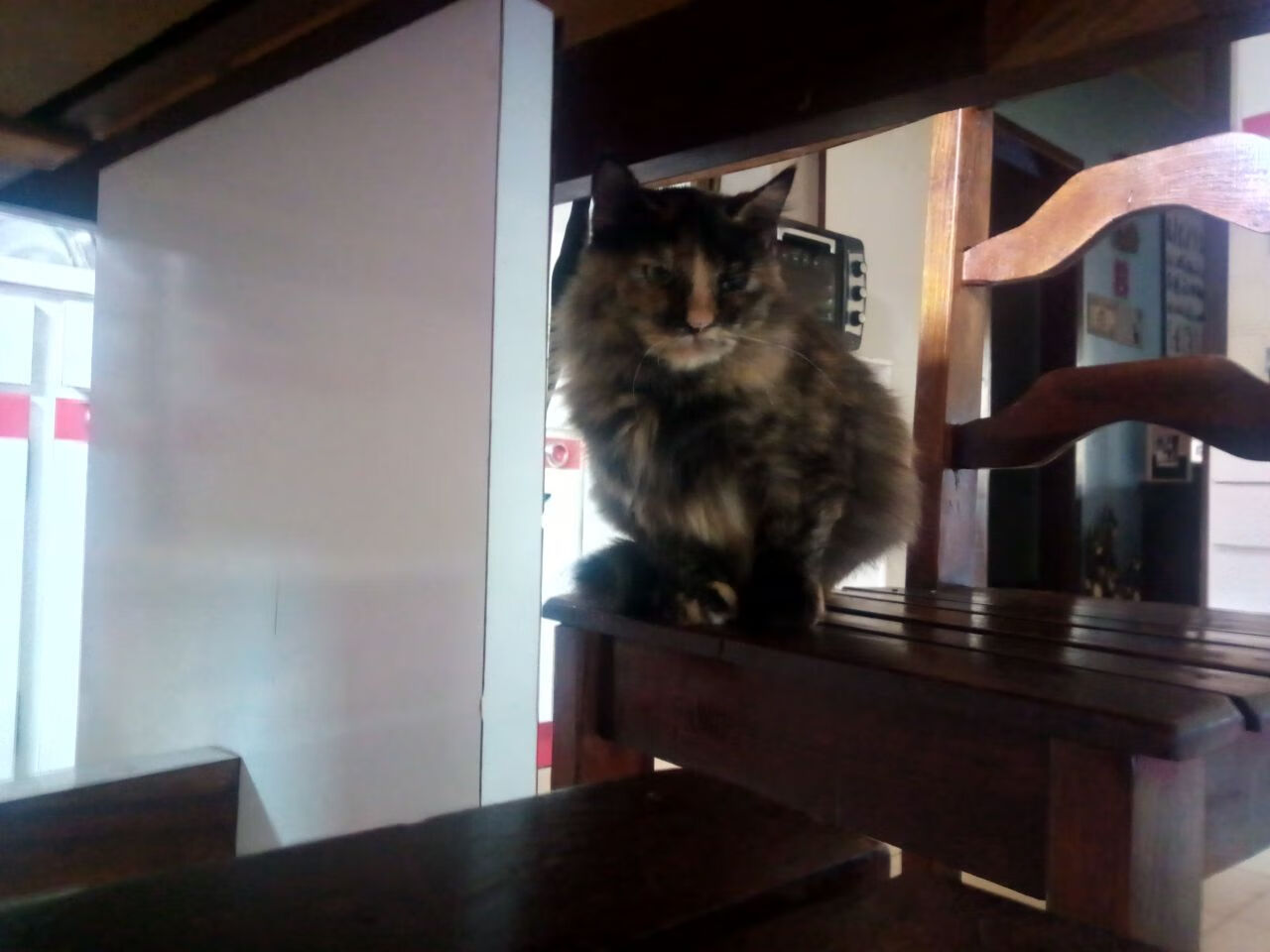 压迫式防守打出连续得分高潮，什么是压迫式运动