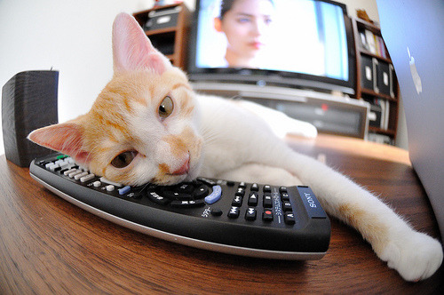 国际乒联混合团体世界杯：美国队的出色战术与技术突破，美国世界乒乓球锦标赛