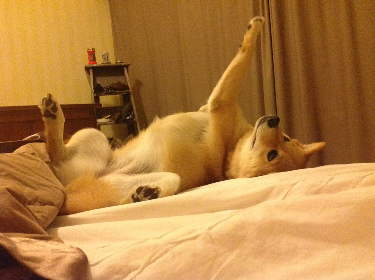 巴黎阵容深度体现轮换优势显著,巴黎阵容2020主力阵容