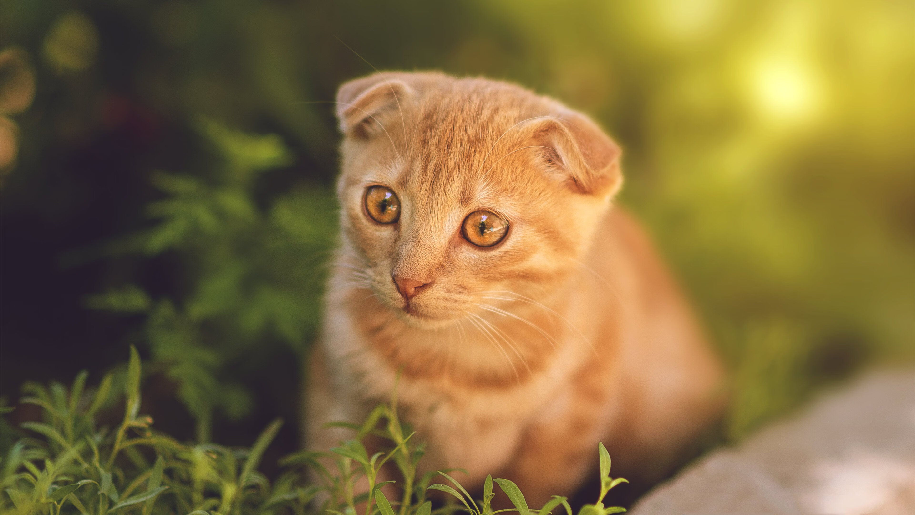 意甲在全球市场的推广活动,意甲在全球市场的推广活动有哪些