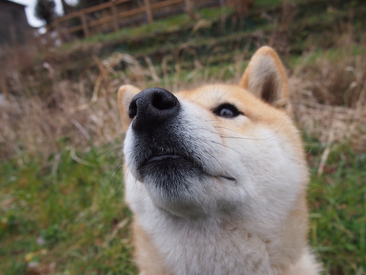 华体会app登入-意甲精彩集锦：每一次精彩瞬间都令人振奋，意甲精选