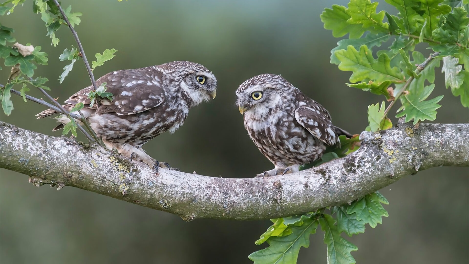 七十年奋进路 同心共筑中国梦,70周年同心追梦