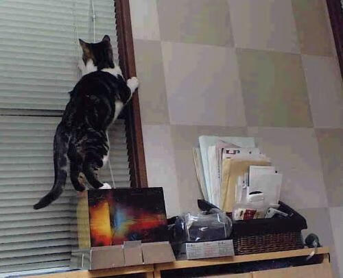 主帅比喻体现球队纪律性与战斗力，主帅比喻体现球队纪律性与战斗力的句子