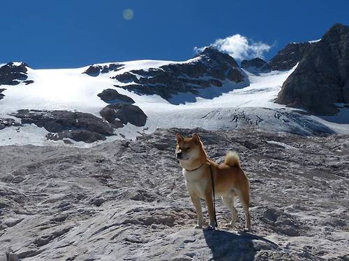 华体会app注册-体育新闻中心聚焦运动习惯形成的行为内容传播，体育新闻专题报道