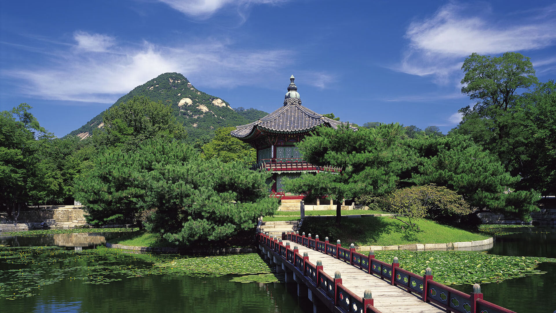 体育新闻中心聚焦运动习惯形成的行为内容传播,体育新闻专题报道