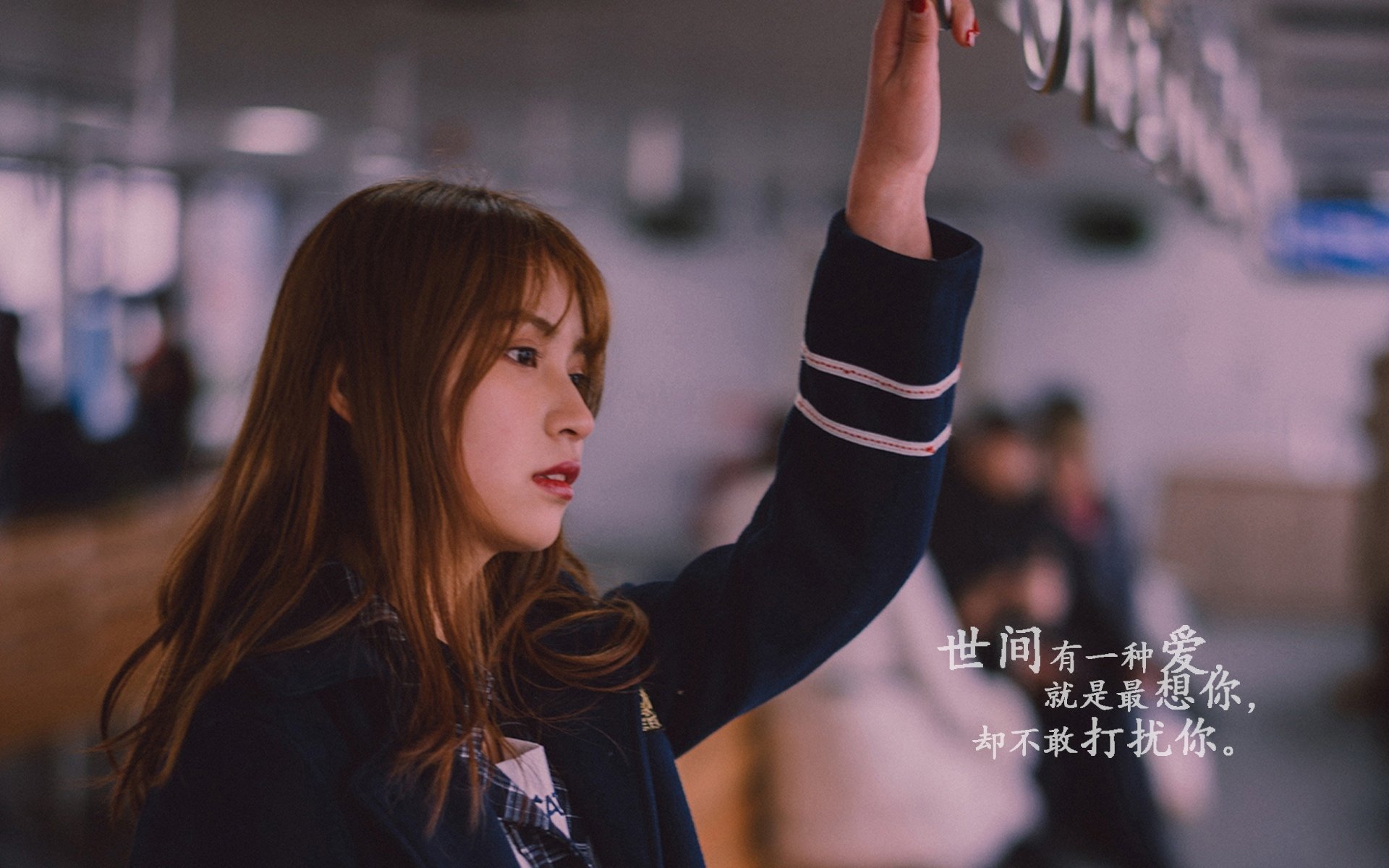 冠军梦想中国篮球俱乐部的追求，篮球之梦冠军之路